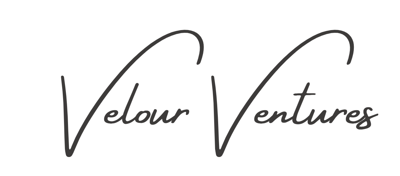 Velour Ventures